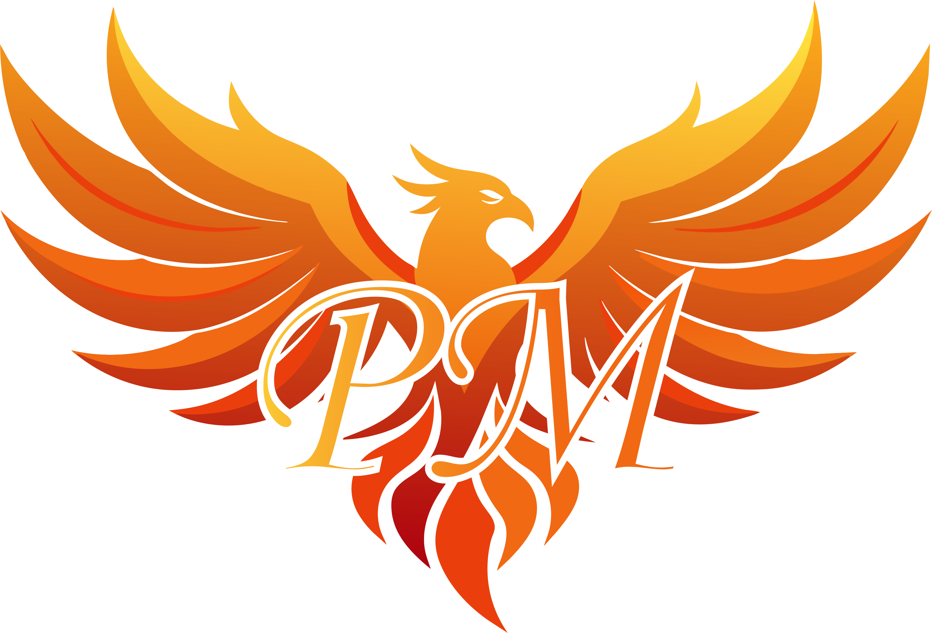 Peyman Moeini Logo
